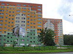 Photos