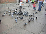 CIMG2269.jpg