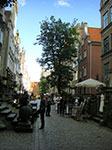 CIMG2394.jpg