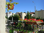 CIMG2460.jpg