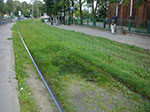 CIMG2521.jpg