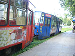 CIMG2524.jpg