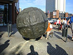 CIMG2536.jpg