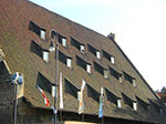 CIMG2549.jpg