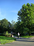 CIMG2571.jpg