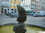 CIMG2574.jpg