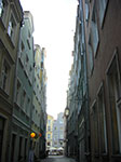 CIMG2585.jpg