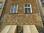CIMG2641.jpg