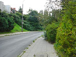 CIMG2650.jpg