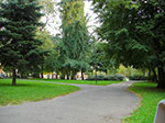 CIMG2659.jpg