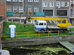 CIMG2683.jpg