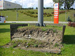 CIMG2742.jpg