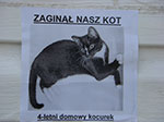 CIMG2747.jpg