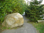 CIMG2760.jpg