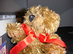 Photos