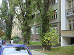 CIMG3134.jpg