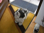 Photos