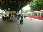 CIMG3236.jpg