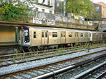 CIMG3270.jpg