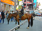 CIMG3285.jpg
