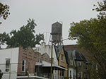 CIMG3485.jpg