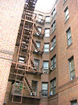 CIMG3539.jpg