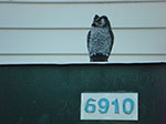 Photos