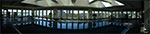 CIMG4632-pan.jpg