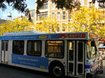 CIMG4677.jpg