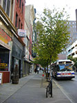 CIMG4754.jpg
