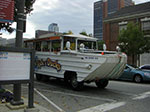 CIMG4762.jpg