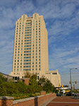 CIMG4779.jpg