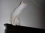 CIMG5185.jpg