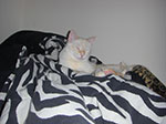 CIMG5274.jpg