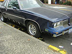 CIMG5284.jpg