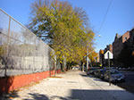 CIMG5310.jpg
