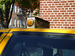 CIMG5319.jpg