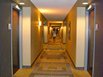 CIMG5354.jpg