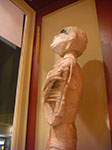 CIMG5369.jpg