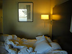 CIMG5379.jpg