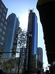 CIMG5403.jpg