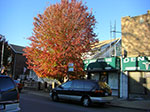2008-10-31_16-37-27.jpg