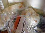 Photos