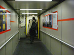 CIMG5977.jpg