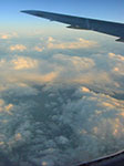 CIMG5981.jpg