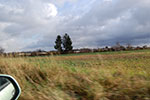 DSC_0047.jpg