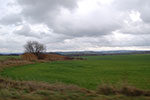 DSC_0123.jpg