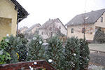 DSC_1037.jpg