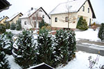 2008-11-25_15-01-31-DSC_1214.jpg