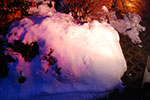 DSC_1241.jpg